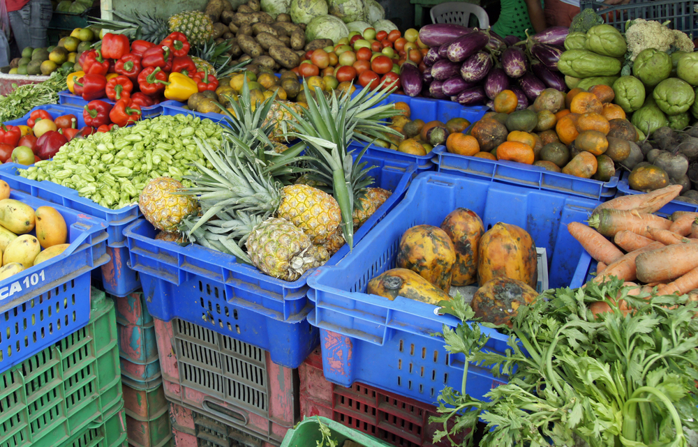Agriculture,In,The,Dominican,Republic